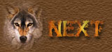 Next